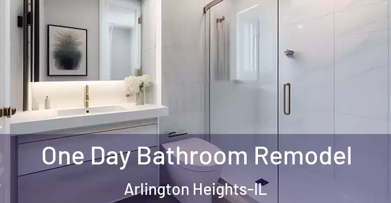 inner Bathroom imggen One Day Bathroom Remodel Arlington Heights-IL