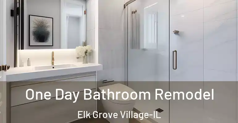 inner Bathroom imggen One Day Bathroom Remodel Elk Grove Village-IL