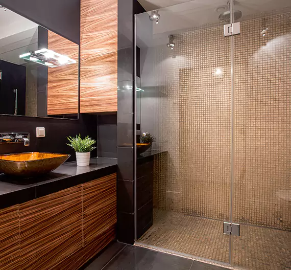 Why Choose Vista Bathroom Remodeling for Quality Tub to Shower Conversion Services in Morton Grove, IL?