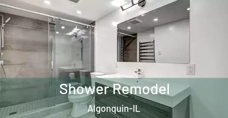 inner Bathroom imggen Shower Remodel Algonquin-IL