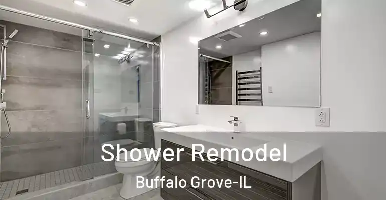 inner Bathroom imggen Shower Remodel Buffalo Grove-IL