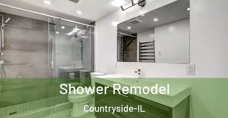 inner Bathroom imggen Shower Remodel Countryside-IL