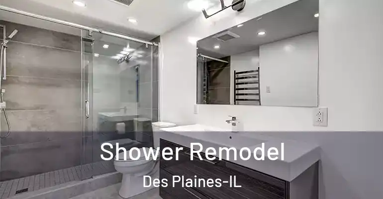 inner Bathroom imggen Shower Remodel Des Plaines-IL