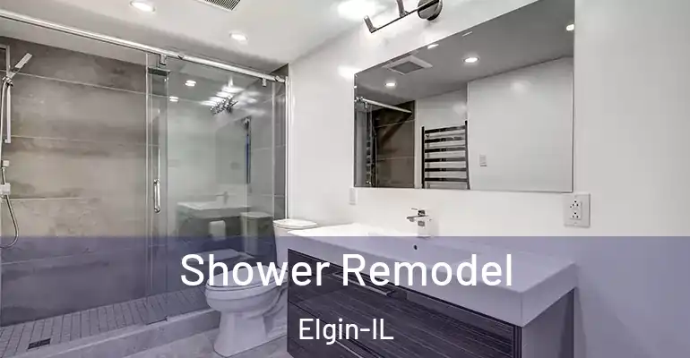 inner Bathroom imggen Shower Remodel Elgin-IL