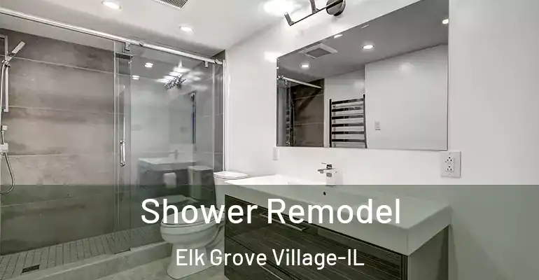 inner Bathroom imggen Shower Remodel Elk Grove Village-IL