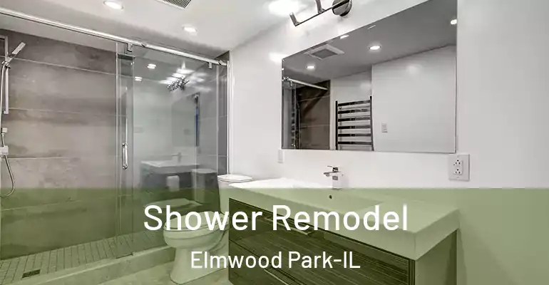 inner Bathroom imggen Shower Remodel Elmwood Park-IL