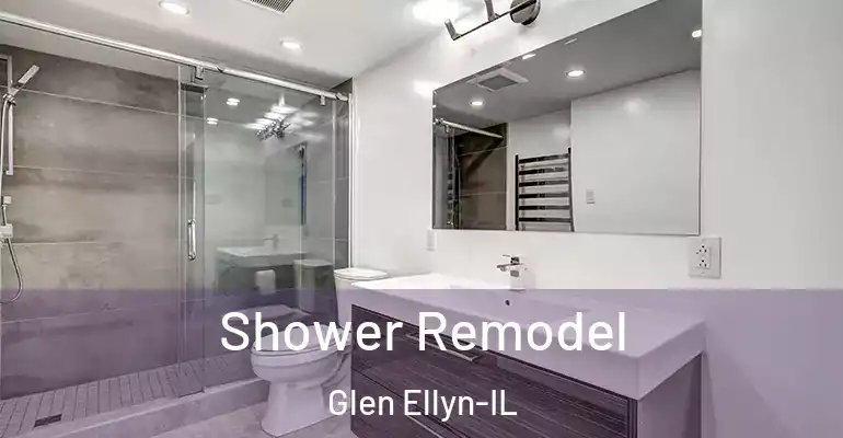 inner Bathroom imggen Shower Remodel Glen Ellyn-IL