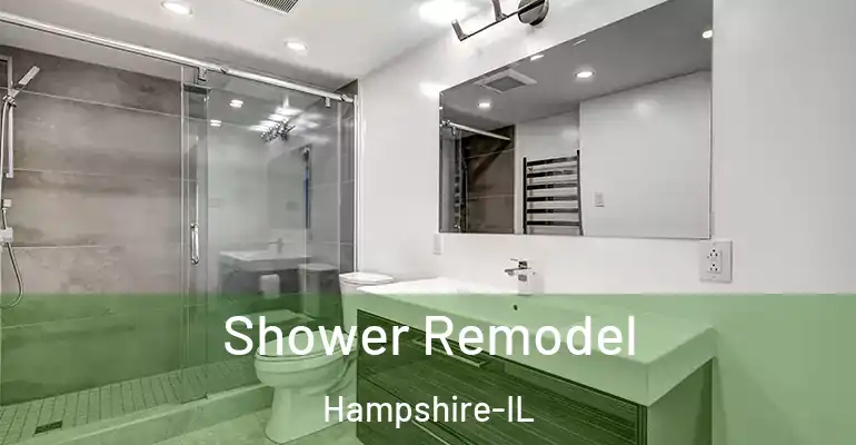 inner Bathroom imggen Shower Remodel Hampshire-IL