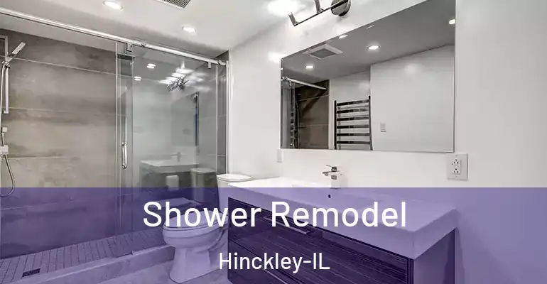 inner Bathroom imggen Shower Remodel Hinckley-IL