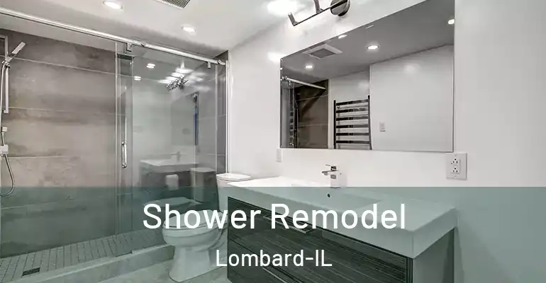 inner Bathroom imggen Shower Remodel Lombard-IL
