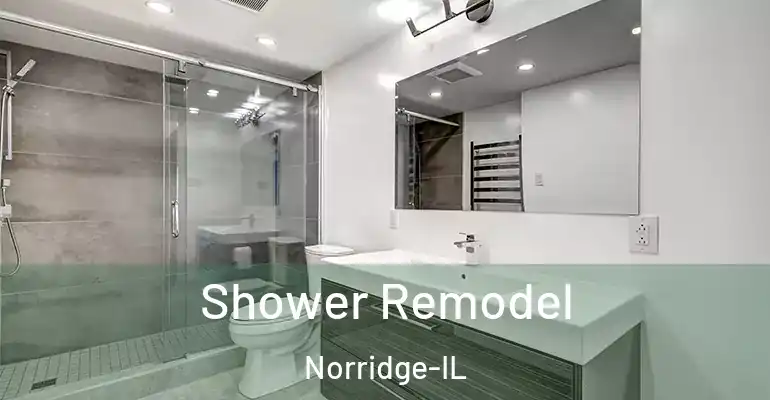 inner Bathroom imggen Shower Remodel Norridge-IL