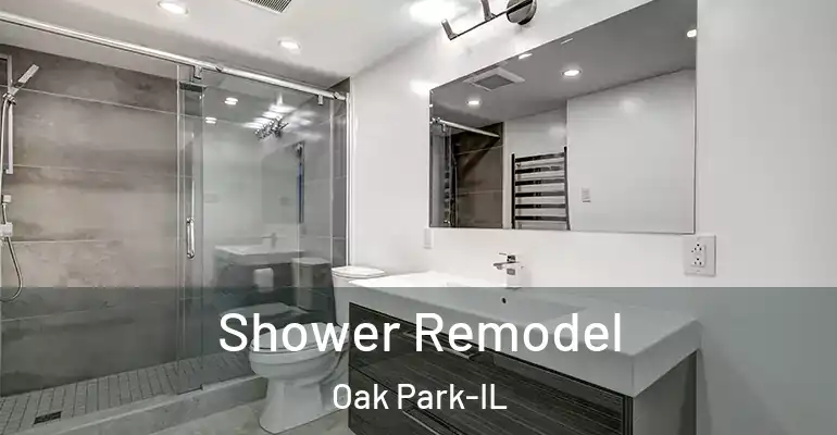 inner Bathroom imggen Shower Remodel Oak Park-IL