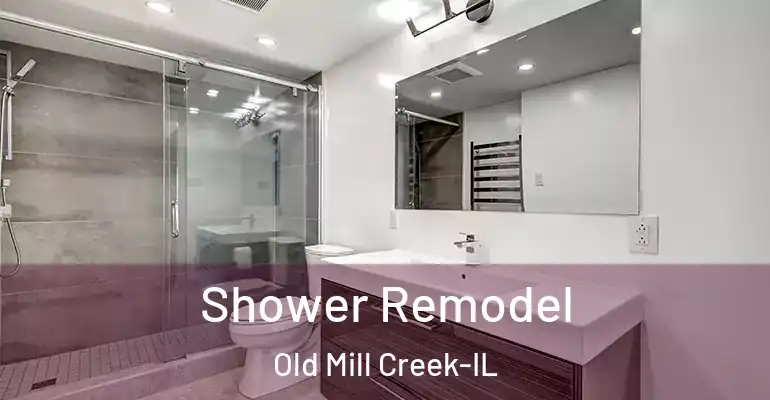 inner Bathroom imggen Shower Remodel Old Mill Creek-IL
