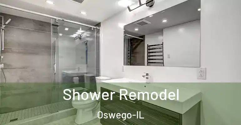 inner Bathroom imggen Shower Remodel Oswego-IL