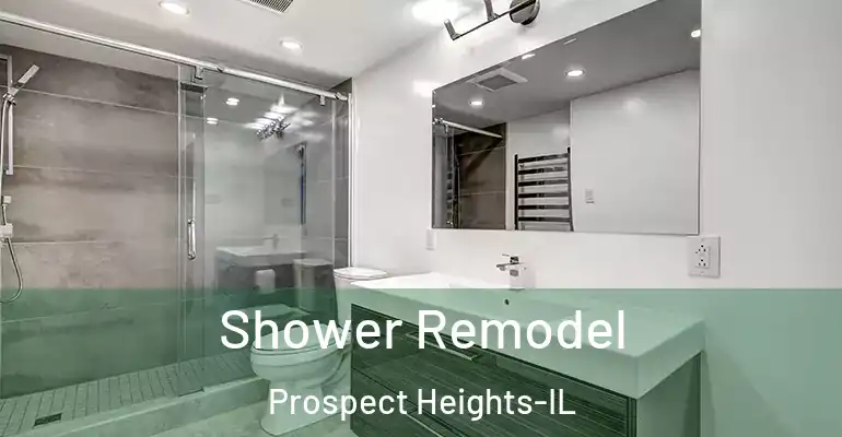 inner Bathroom imggen Shower Remodel Prospect Heights-IL