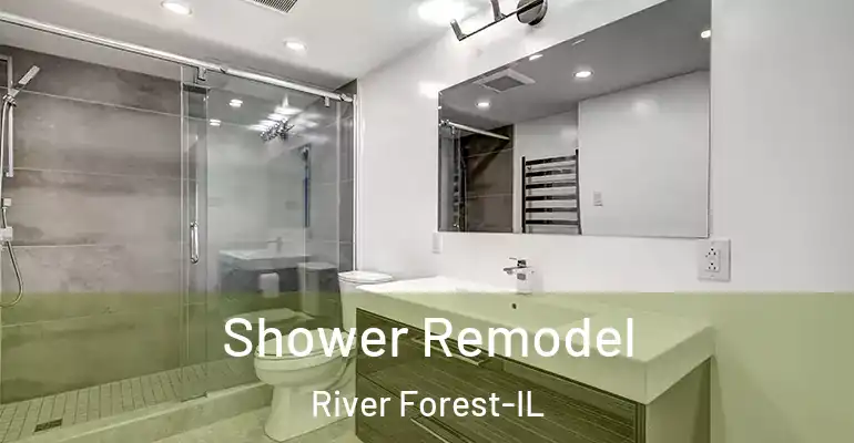 inner Bathroom imggen Shower Remodel River Forest-IL