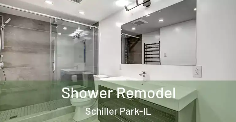inner Bathroom imggen Shower Remodel Schiller Park-IL