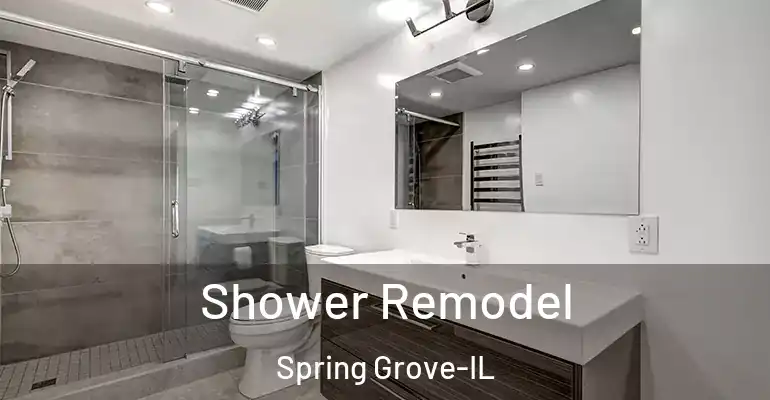 inner Bathroom imggen Shower Remodel Spring Grove-IL