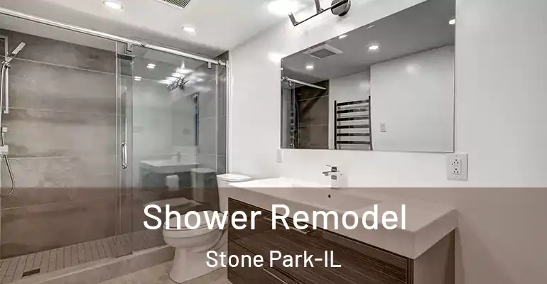 inner Bathroom imggen Shower Remodel Stone Park-IL