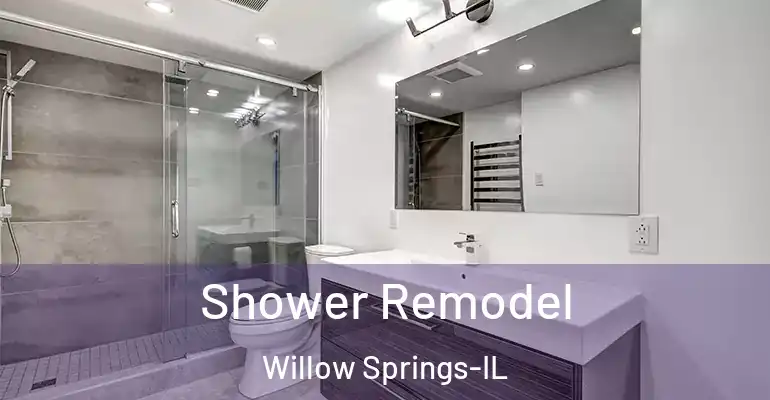 inner Bathroom imggen Shower Remodel Willow Springs-IL