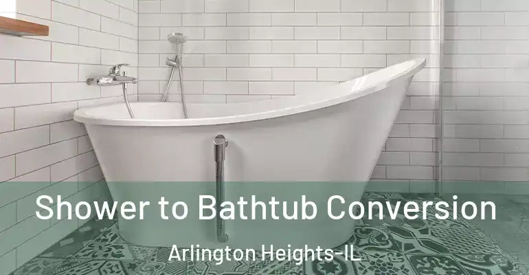 inner Bathroom imggen Shower to Bathtub Conversion Arlington Heights-IL