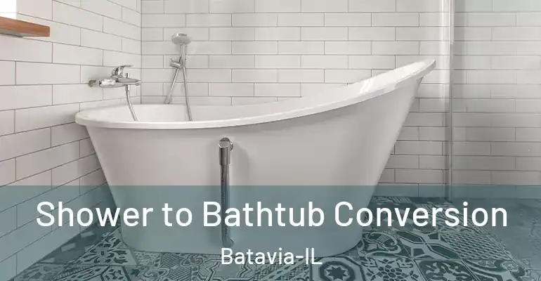 inner Bathroom imggen Shower to Bathtub Conversion Batavia-IL
