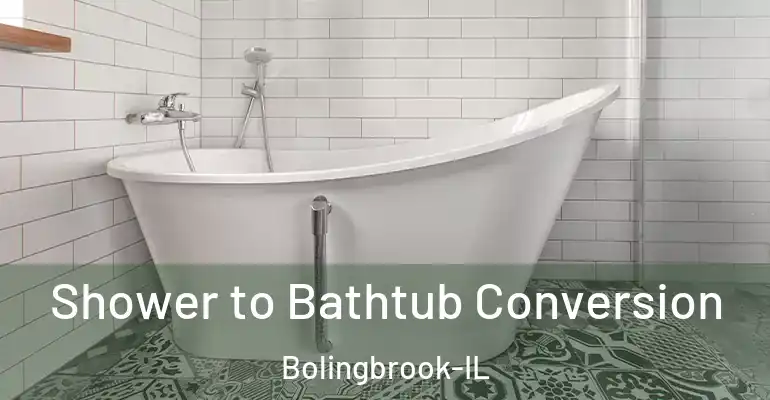 inner Bathroom imggen Shower to Bathtub Conversion Bolingbrook-IL