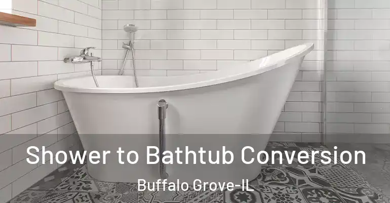 inner Bathroom imggen Shower to Bathtub Conversion Buffalo Grove-IL