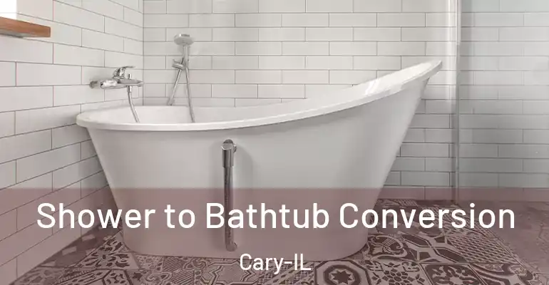 inner Bathroom imggen Shower to Bathtub Conversion Cary-IL