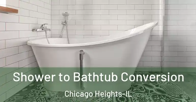 inner Bathroom imggen Shower to Bathtub Conversion Chicago Heights-IL