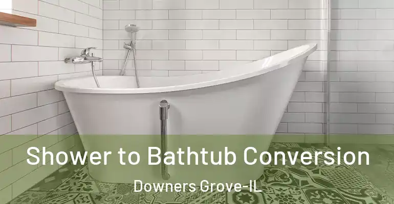 inner Bathroom imggen Shower to Bathtub Conversion Downers Grove-IL