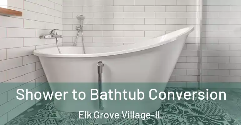 inner Bathroom imggen Shower to Bathtub Conversion Elk Grove Village-IL