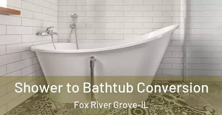 inner Bathroom imggen Shower to Bathtub Conversion Fox River Grove-IL
