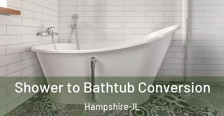 inner Bathroom imggen Shower to Bathtub Conversion Hampshire-IL