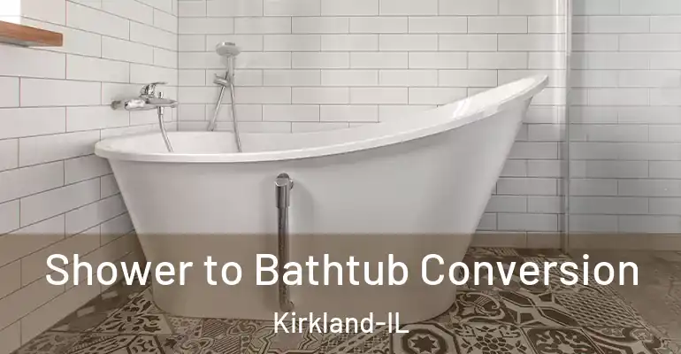 inner Bathroom imggen Shower to Bathtub Conversion Kirkland-IL