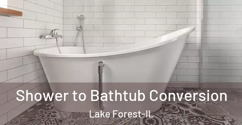 inner Bathroom imggen Shower to Bathtub Conversion Lake Forest-IL