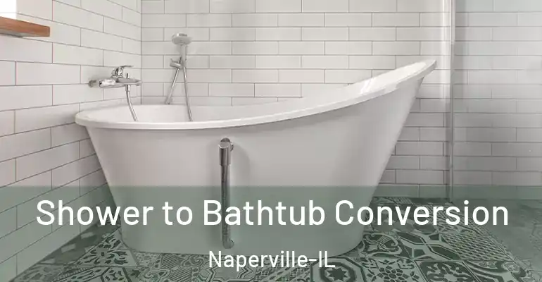 inner Bathroom imggen Shower to Bathtub Conversion Naperville-IL