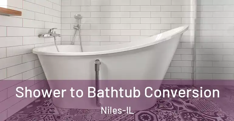 inner Bathroom imggen Shower to Bathtub Conversion Niles-IL