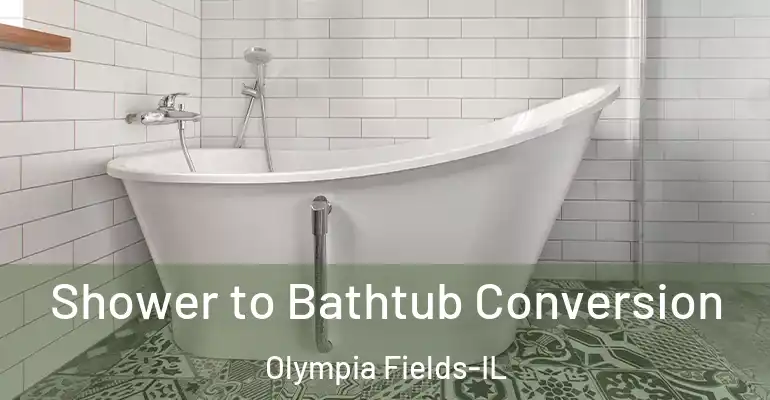 inner Bathroom imggen Shower to Bathtub Conversion Olympia Fields-IL