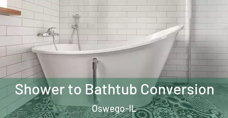 inner Bathroom imggen Shower to Bathtub Conversion Oswego-IL