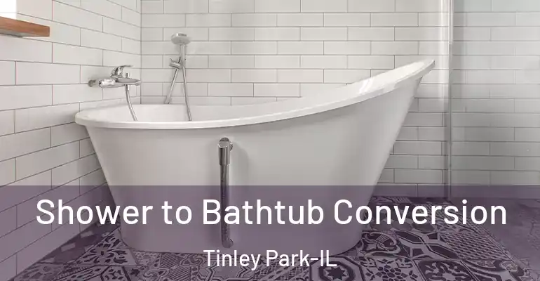 inner Bathroom imggen Shower to Bathtub Conversion Tinley Park-IL
