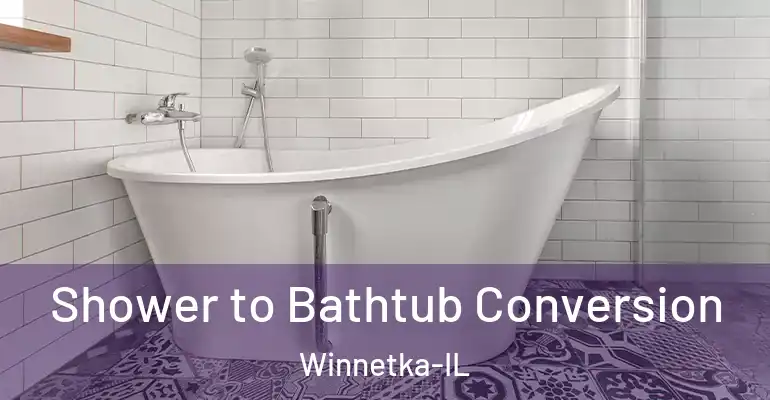 inner Bathroom imggen Shower to Bathtub Conversion Winnetka-IL