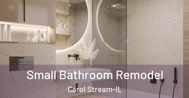 inner Bathroom imggen Small Bathroom Remodel Carol Stream-IL