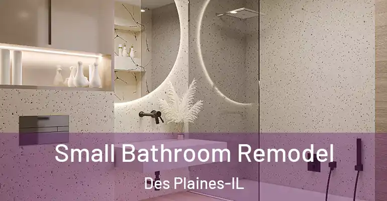 inner Bathroom imggen Small Bathroom Remodel Des Plaines-IL