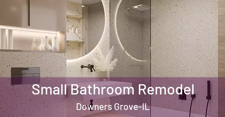 inner Bathroom imggen Small Bathroom Remodel Downers Grove-IL
