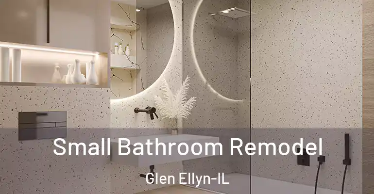 inner Bathroom imggen Small Bathroom Remodel Glen Ellyn-IL