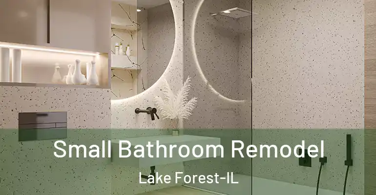 inner Bathroom imggen Small Bathroom Remodel Lake Forest-IL
