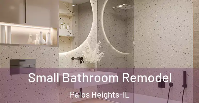 inner Bathroom imggen Small Bathroom Remodel Palos Heights-IL