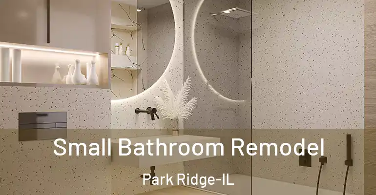 inner Bathroom imggen Small Bathroom Remodel Park Ridge-IL