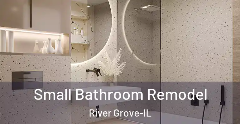 inner Bathroom imggen Small Bathroom Remodel River Grove-IL